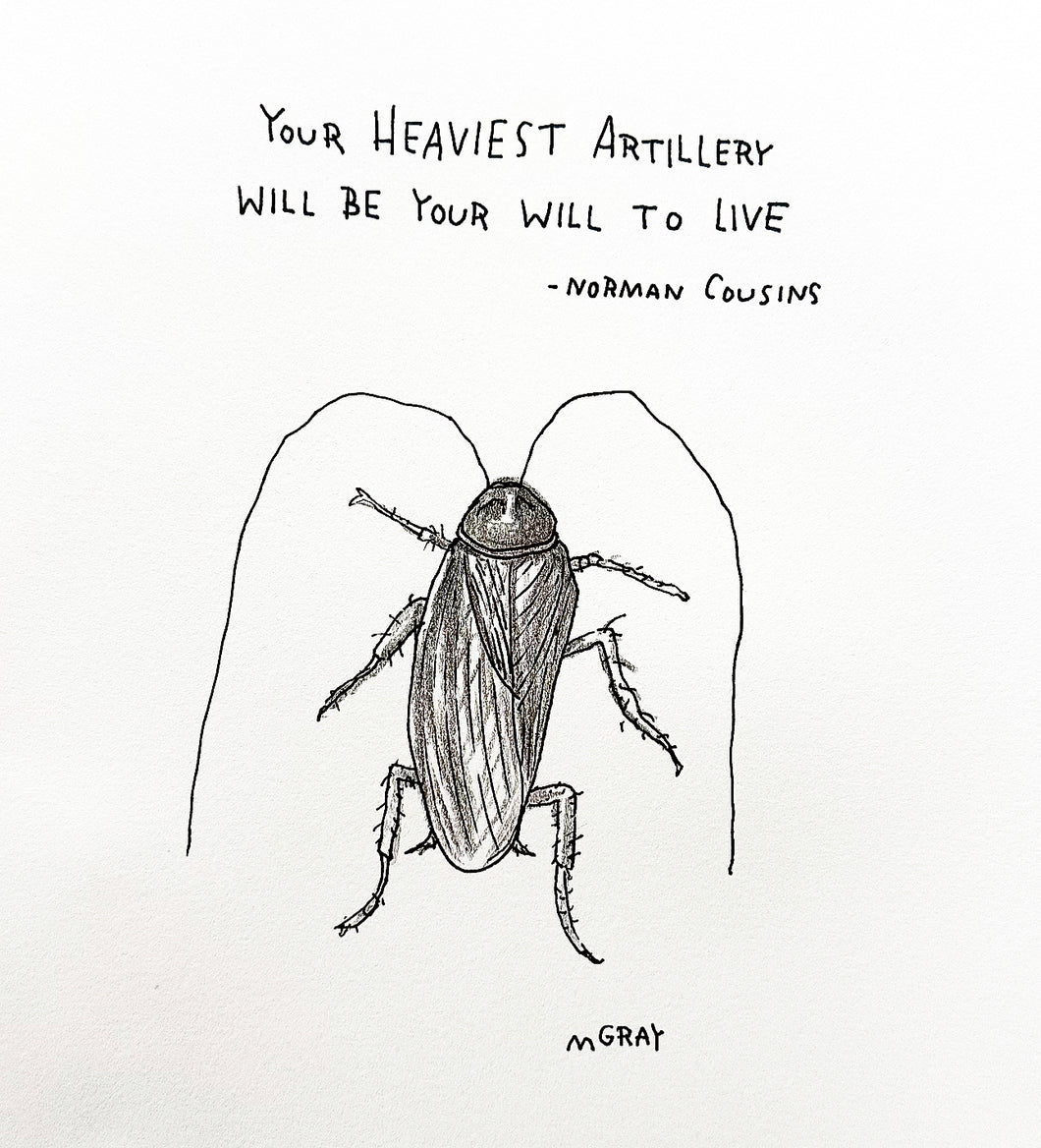 Heaviest Artillery American Cockroach